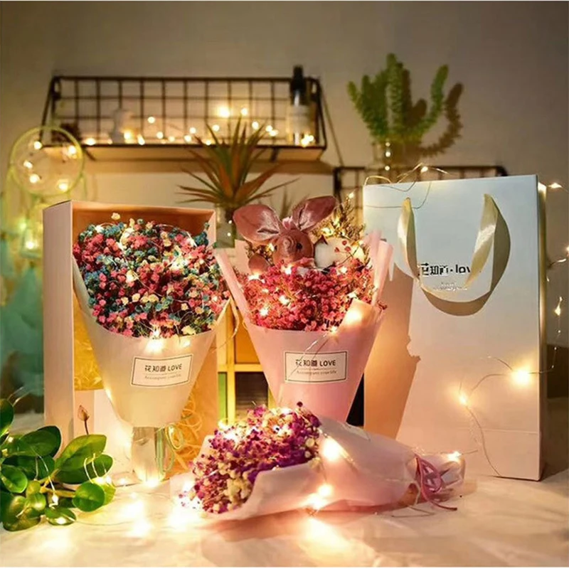 Dekorasi Pesta Pernikahan Poho - Led Fairy String Lights ulasan dan harga